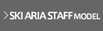 AREA STAFF MODEL